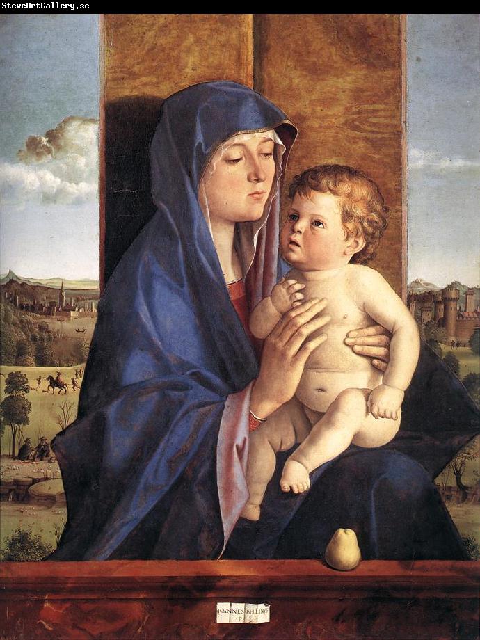 BELLINI, Giovanni Madonna and Child  257